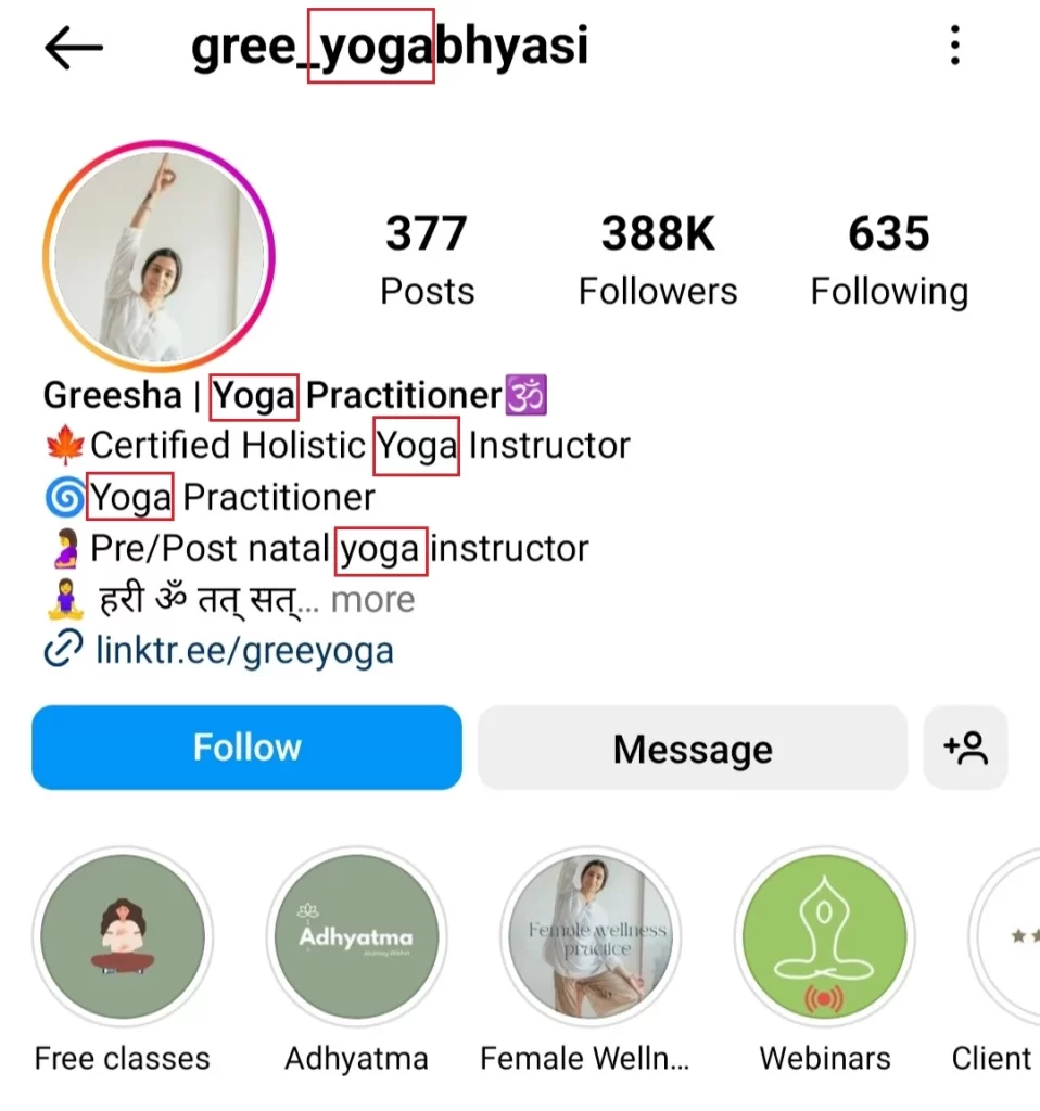 Greesha's Optimize Instagram Bio